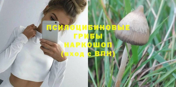 эйфоретик Аркадак