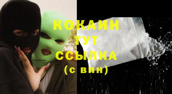 ешки Арсеньев